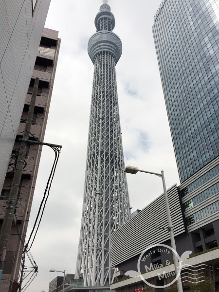 [國外旅遊]日本‧東京‧五天四夜Day3