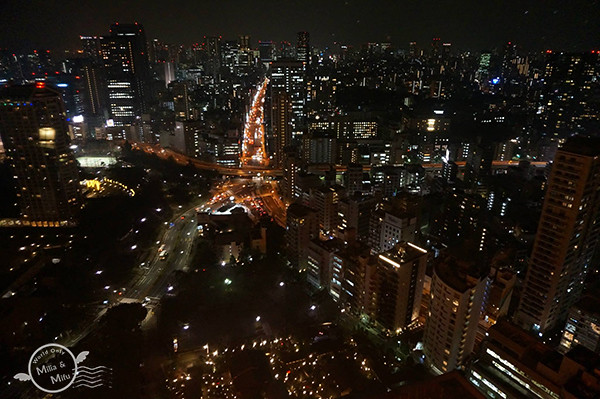 [國外旅遊]日本‧東京‧五天四夜Day3