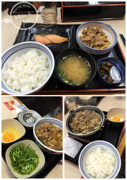 [國外旅遊]日本‧東京‧五天四夜Day1~Day2