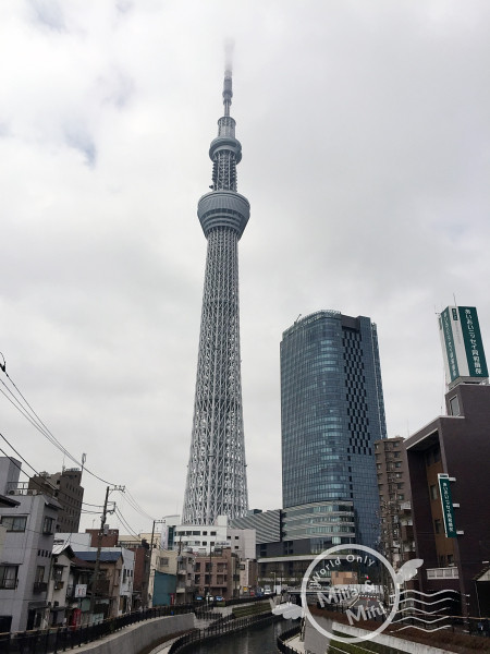 [國外旅遊]日本‧東京‧五天四夜Day3