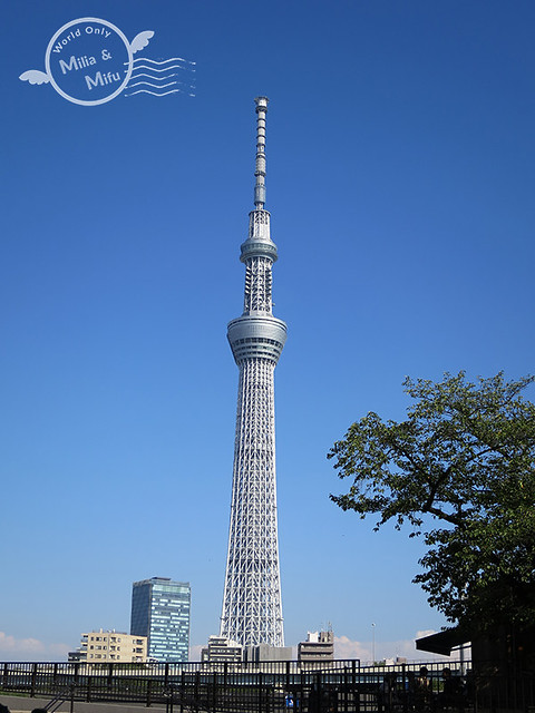 [國外旅遊]日本‧東京‧六天五夜 (五) 築地市場、本願寺、淺草雷門、今戶神社、晴空塔