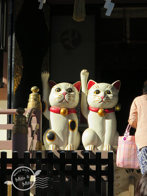 [國外旅遊]日本‧東京‧六天五夜 (五) 築地市場、本願寺、淺草雷門、今戶神社、晴空塔