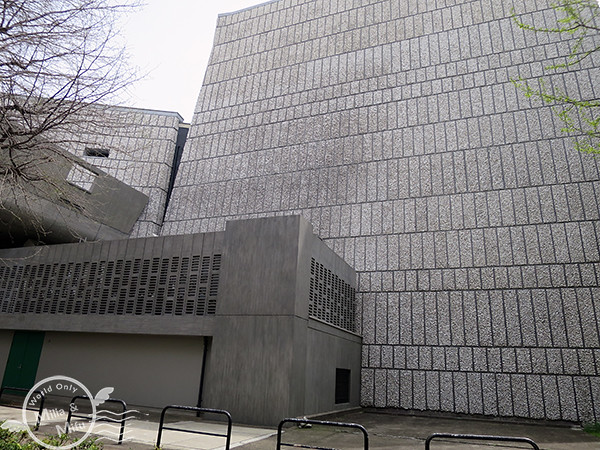 [米粒愛出國]日本‧東京‧六天五夜 (三) 在上野賞櫻吃日式炒麵、逛阿美橫町買藥妝、還有超好吃的筑前屋居酒屋！