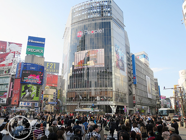 [米粒愛出國]日本‧東京‧六天五夜 (四) 澀谷一日遊。逛令人尖叫的超夢幻愛麗絲專門店(水曜日のアリス)、吃表參道排隊美食Luke’s Lobster 龍蝦三明治