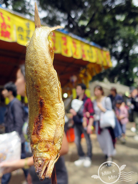 [米粒愛出國]日本‧東京‧六天五夜 (三) 在上野賞櫻吃日式炒麵、逛阿美橫町買藥妝、還有超好吃的筑前屋居酒屋！