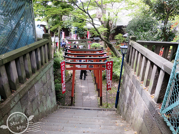 [米粒愛出國]日本‧東京‧六天五夜 (三) 在上野賞櫻吃日式炒麵、逛阿美橫町買藥妝、還有超好吃的筑前屋居酒屋！