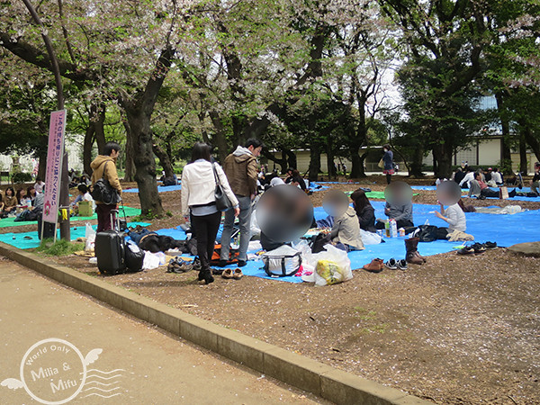 [米粒愛出國]日本‧東京‧六天五夜 (三) 在上野賞櫻吃日式炒麵、逛阿美橫町買藥妝、還有超好吃的筑前屋居酒屋！